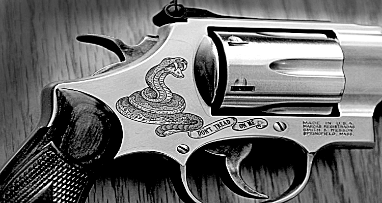 Gun Sales Might Spike as an Inept Capital Hill Desecrates the Constitution