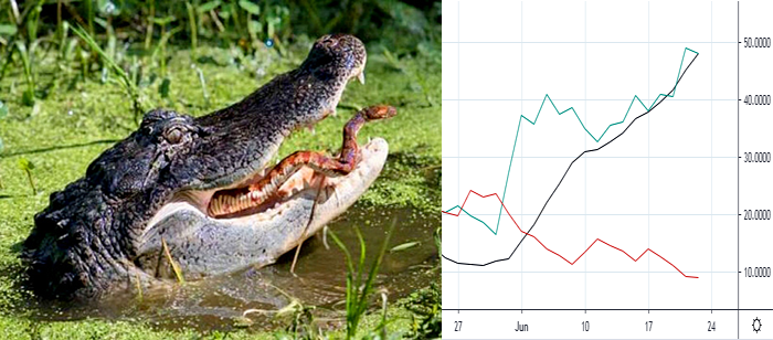 Alligator vs DMI-ADX Alligator Tongue
