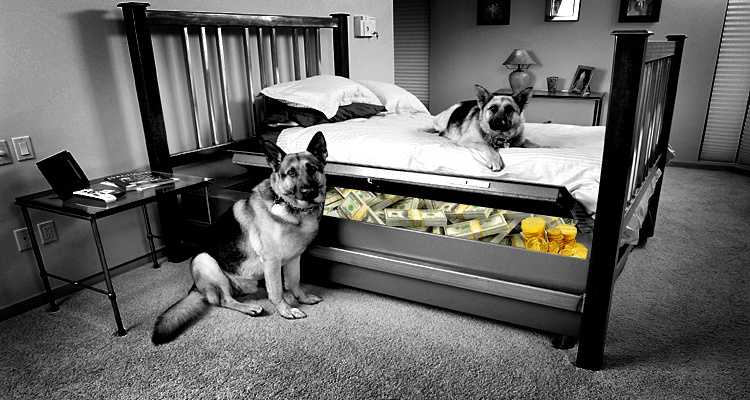 Dogged by the War on Cash - Part 2