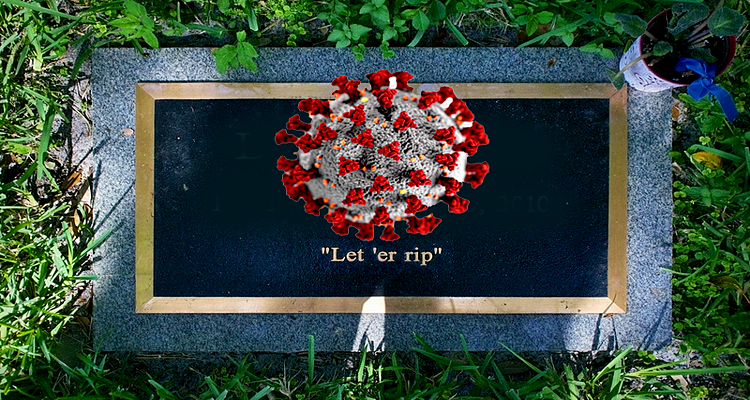 Let 'er Rip - TraderStef Interview on CrushTheStreet Oct. 14, 2020 - Pandemic, Economy - Gold, Silver Technical Analysis