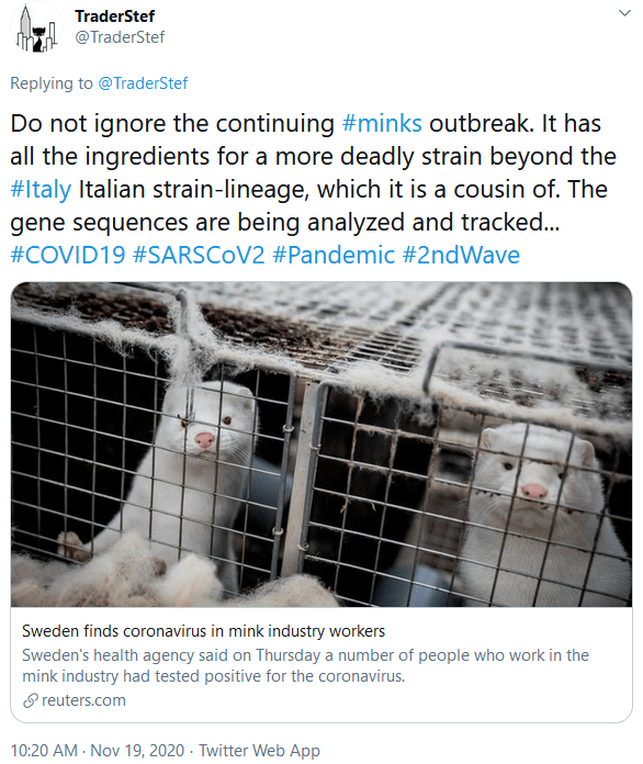 Mink Mutation November 2020