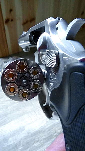 Smith Wesson .357 with 38sp Hollow Points