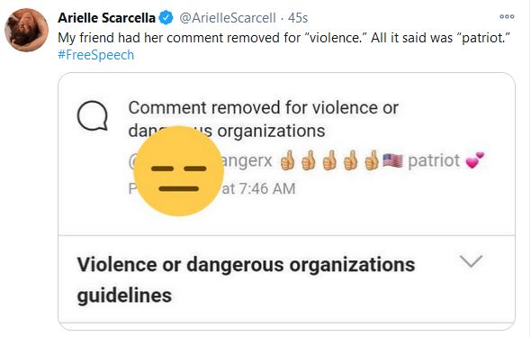 Arielle Scarcella Twitter Patriot Language Removal