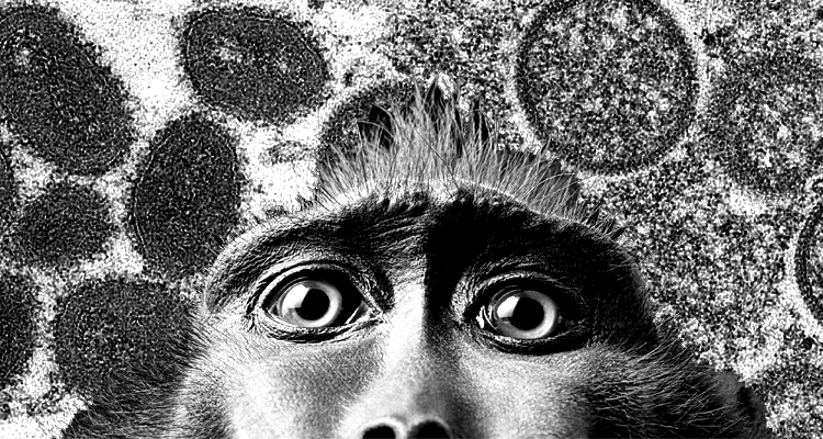 The Monkeypox Melodrama is Right on Schedule