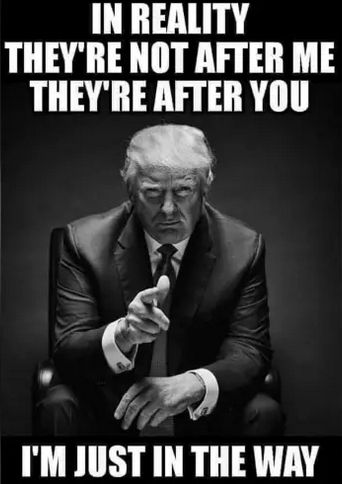 In Reality They're Not After Me They're After You, I'm Just In The Way - President Trump, 2019