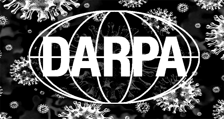 “Premeditated Manslaughter Coordinated at the Highest Levels” – Part 2