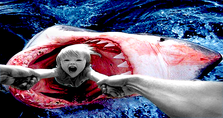 The Recession Arrived With Wardogs and Goldilocks’ Hopium in 2023 – Part 4: Shark Bait